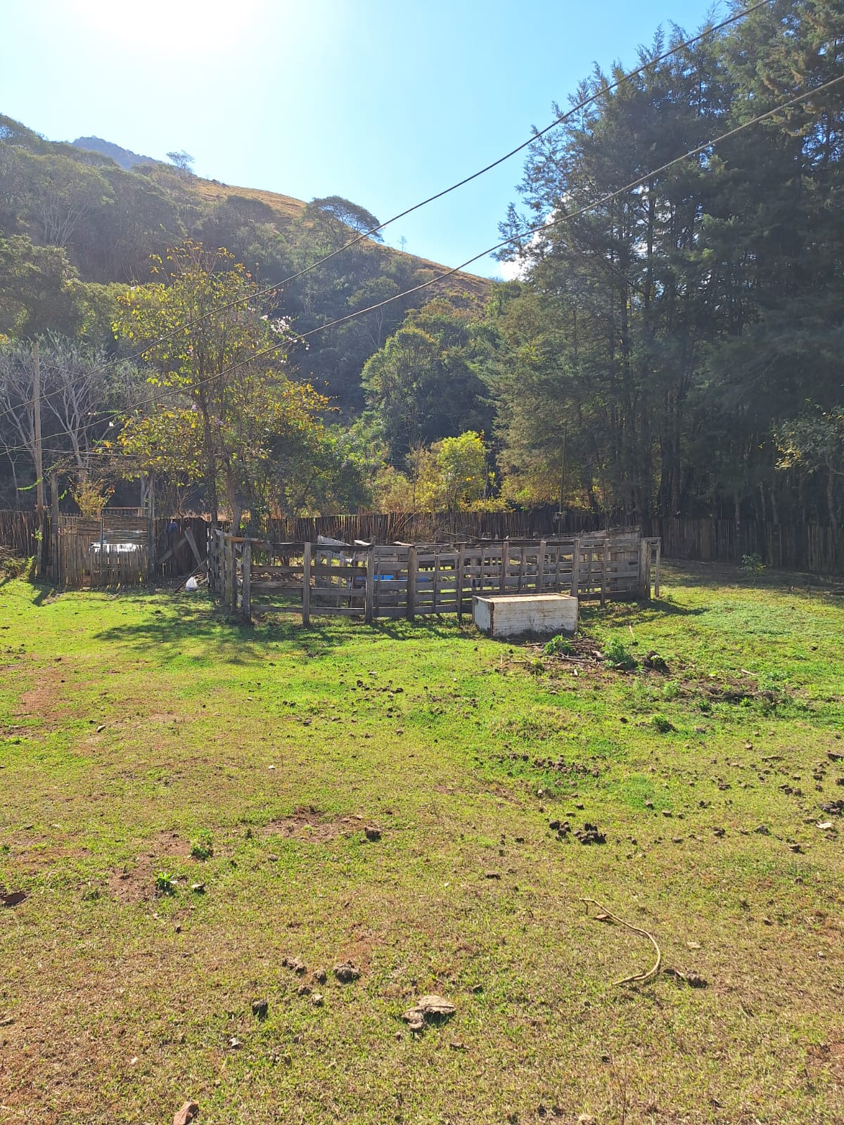 inbound6635439281675529349