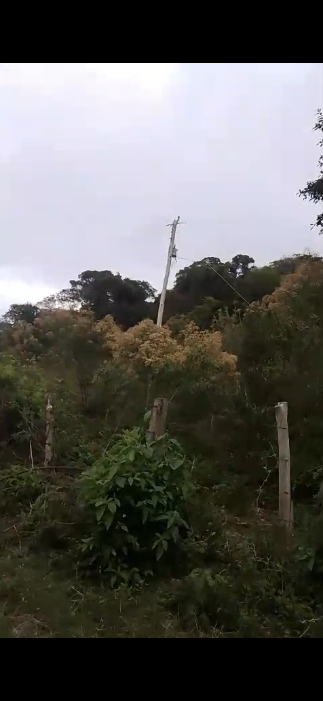 inbound6824110538551403904