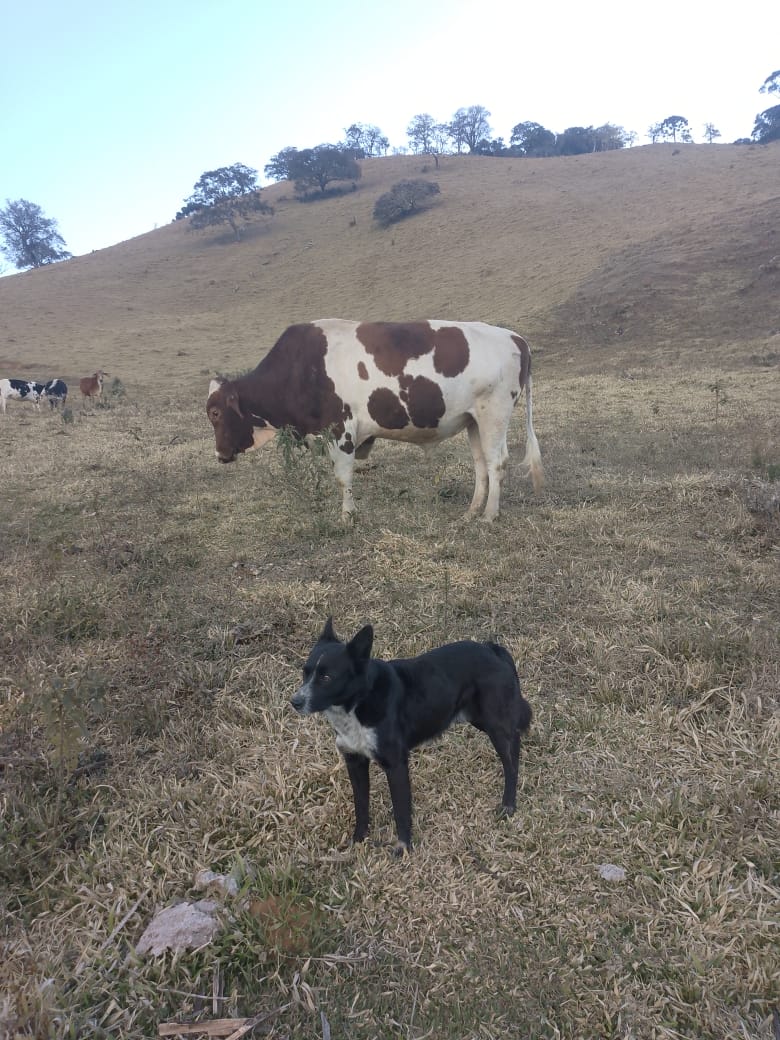 inbound6871799911759596562