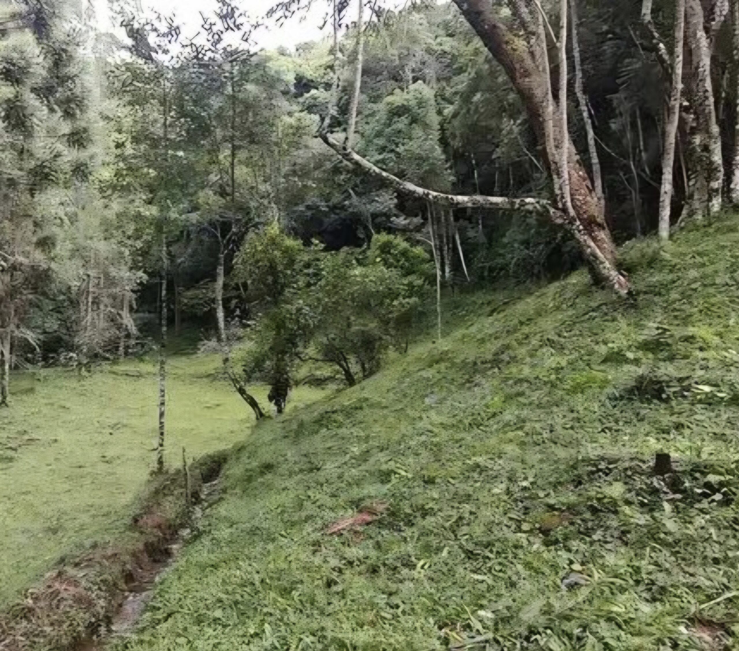 inbound6999926273994523238