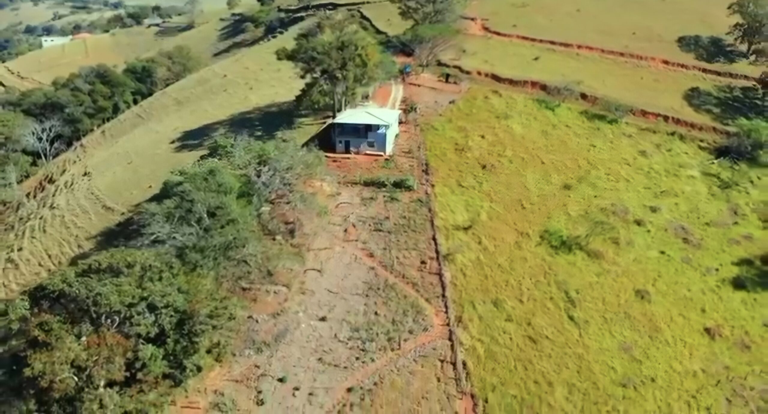 inbound7205856179287497028