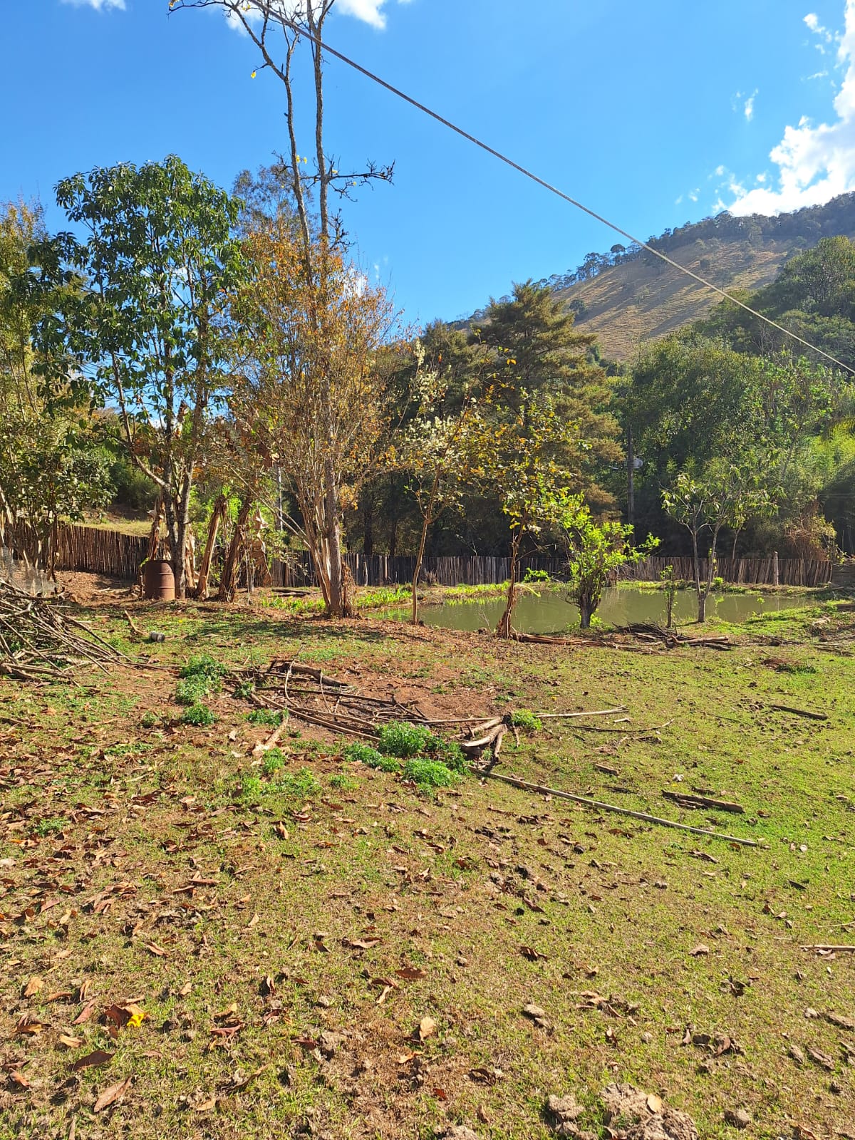 inbound733645997532641740