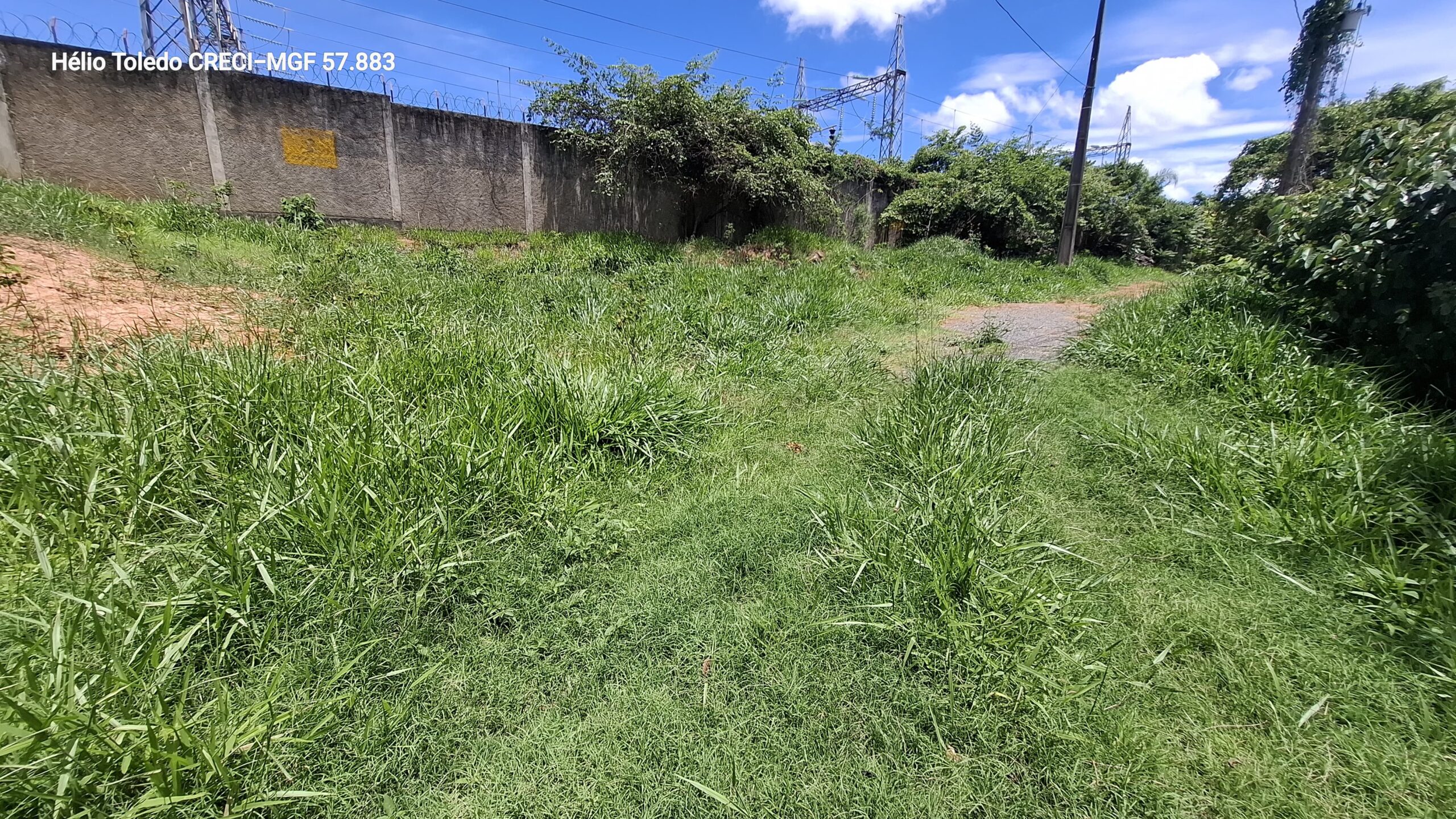 inbound7379163057910952065