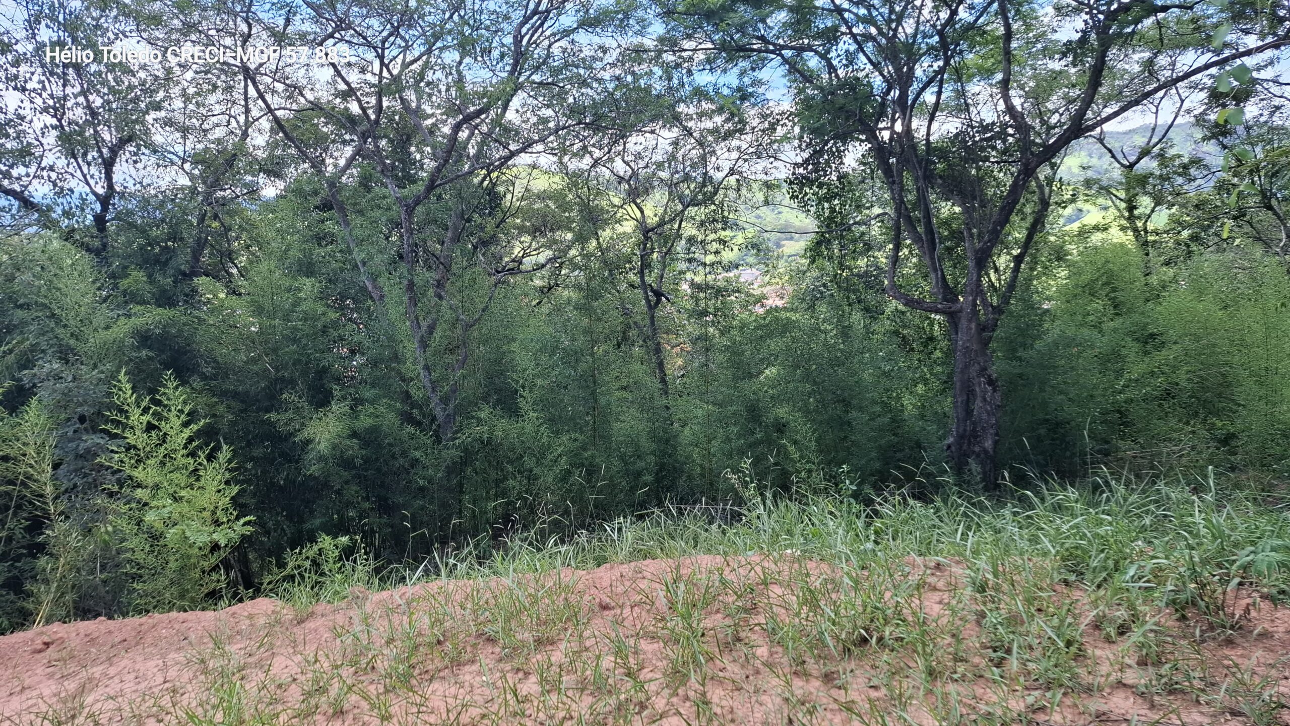 inbound7722710126794949051