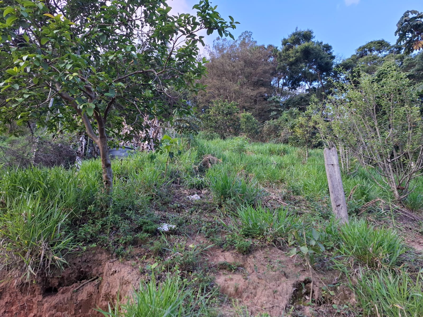 inbound8239086693856303753