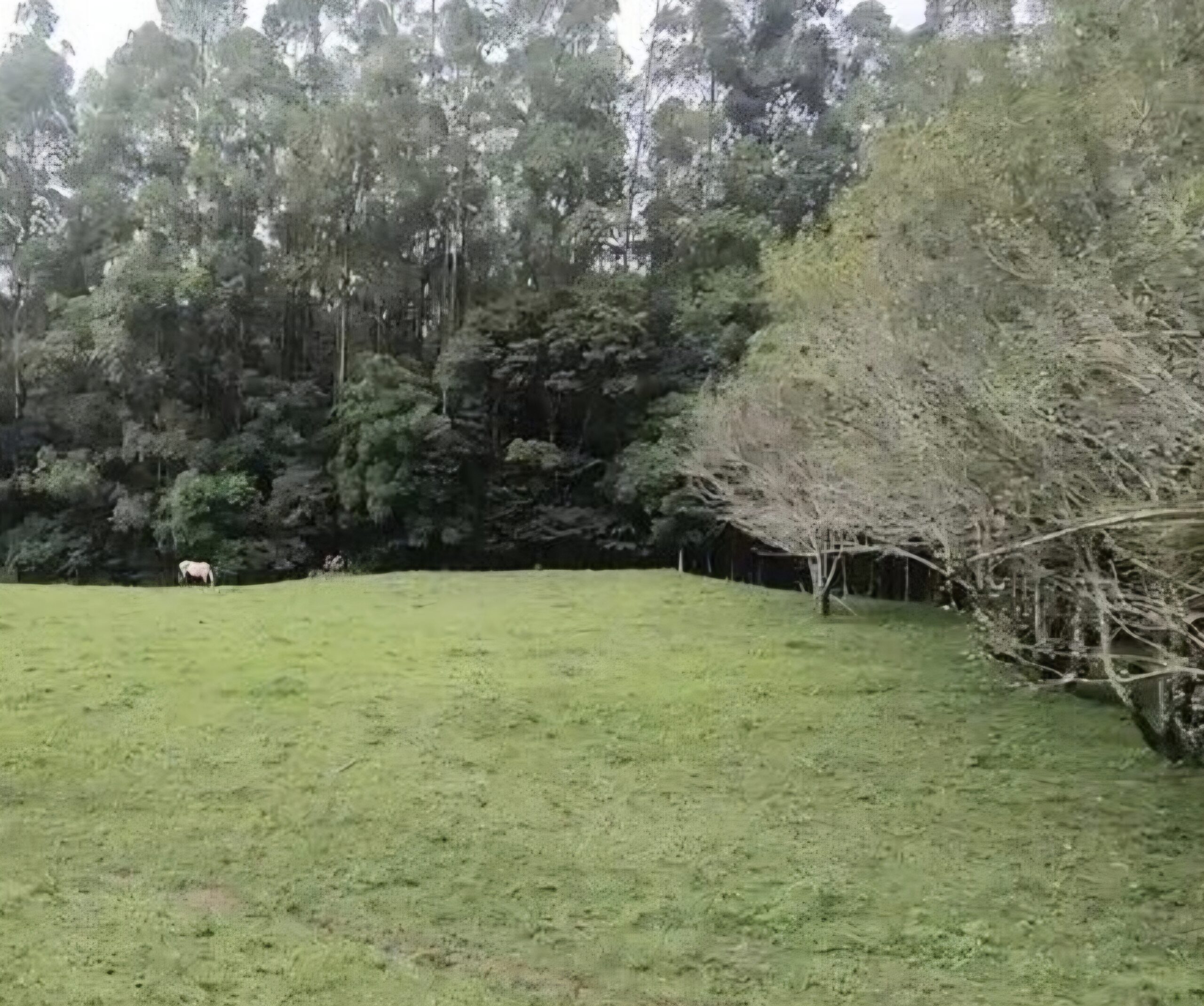 inbound8292777510231067145