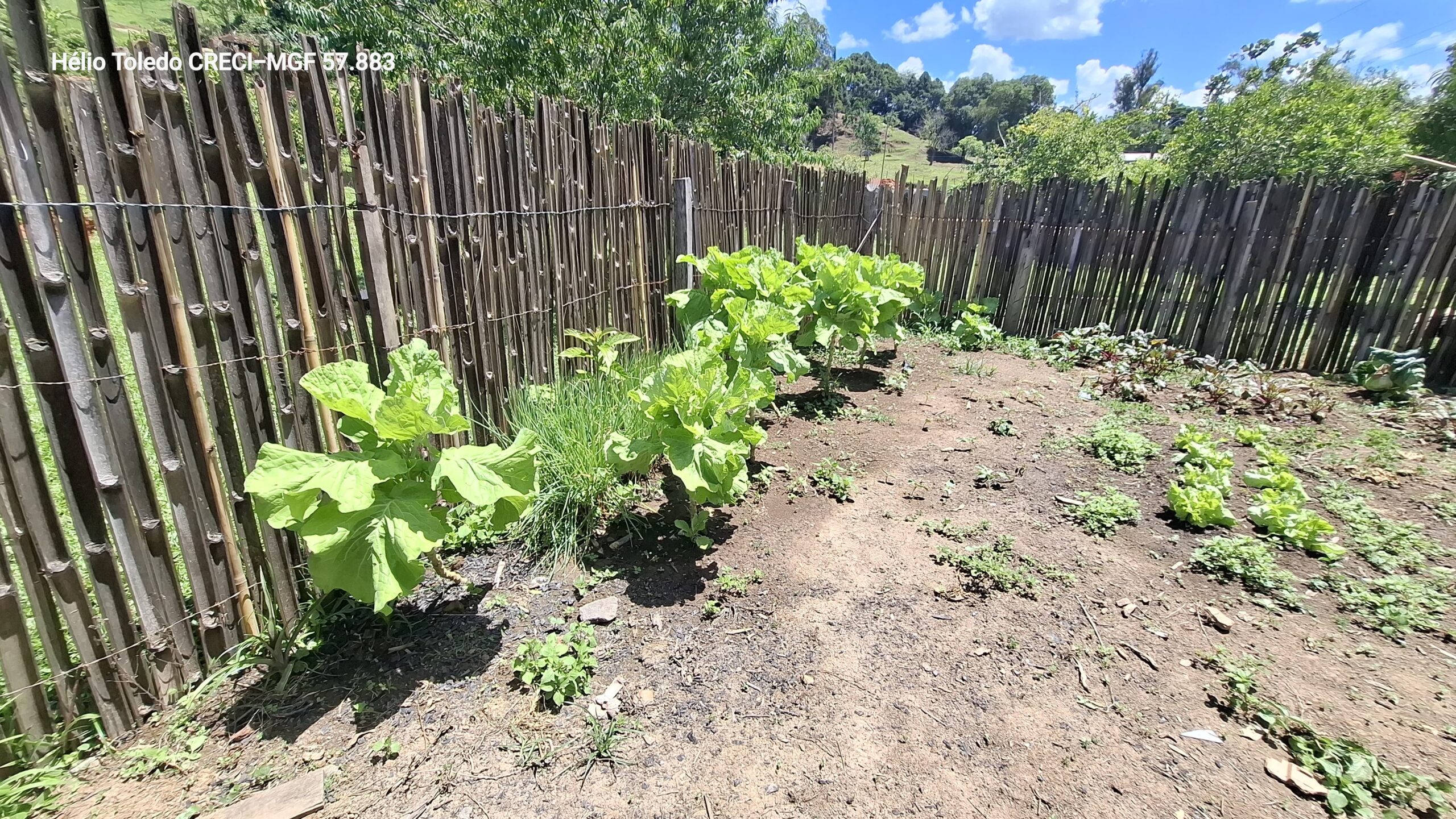 inbound833252897881702088