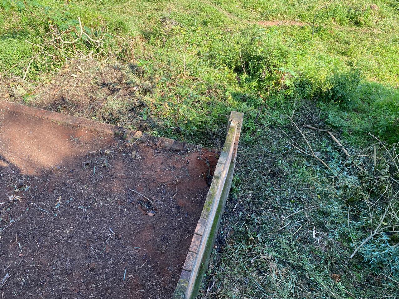 inbound8481943222892007874