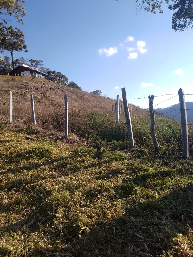 inbound8509048064219179948