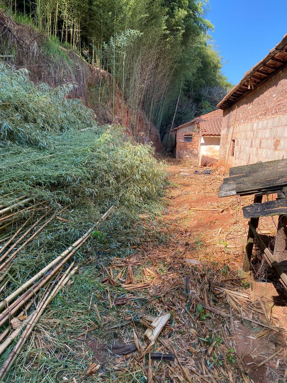 inbound8567070006934115801