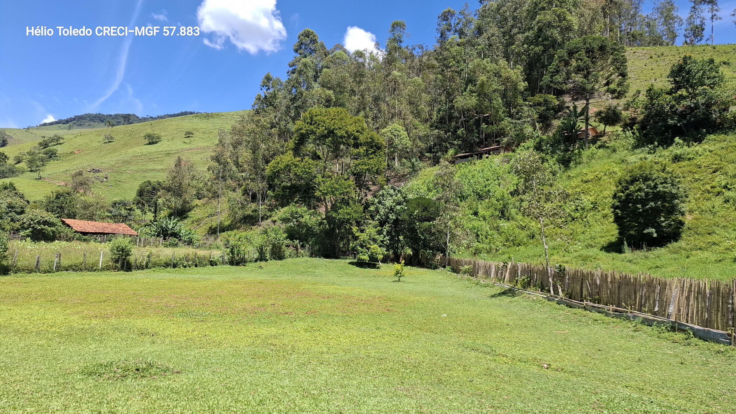 inbound8886516647549108054