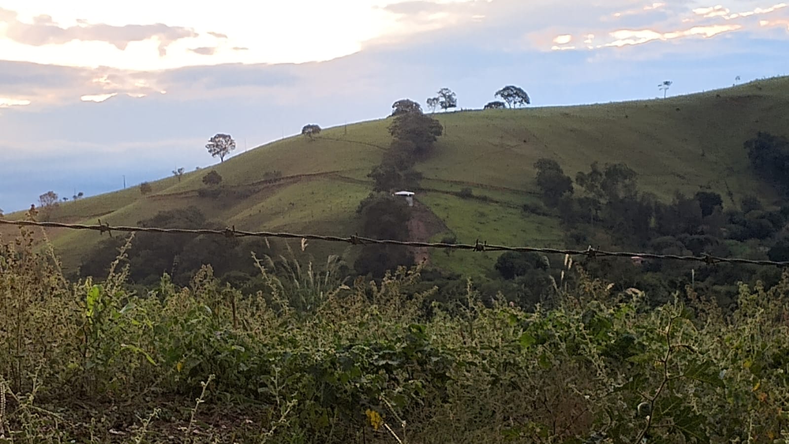 inbound9219839318843901860