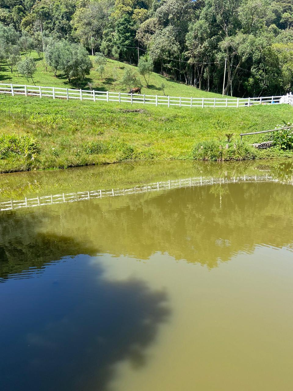 inbound1569925595986382061