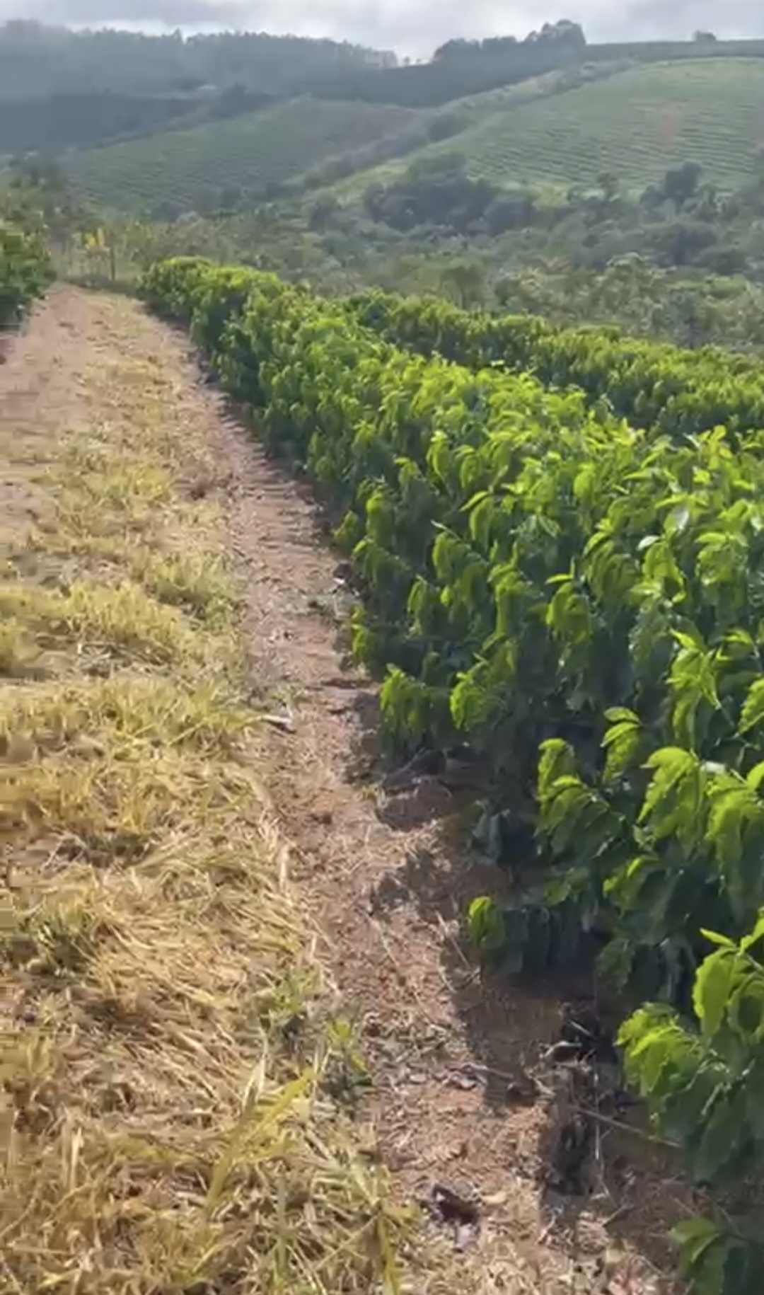 inbound1666050612446097476