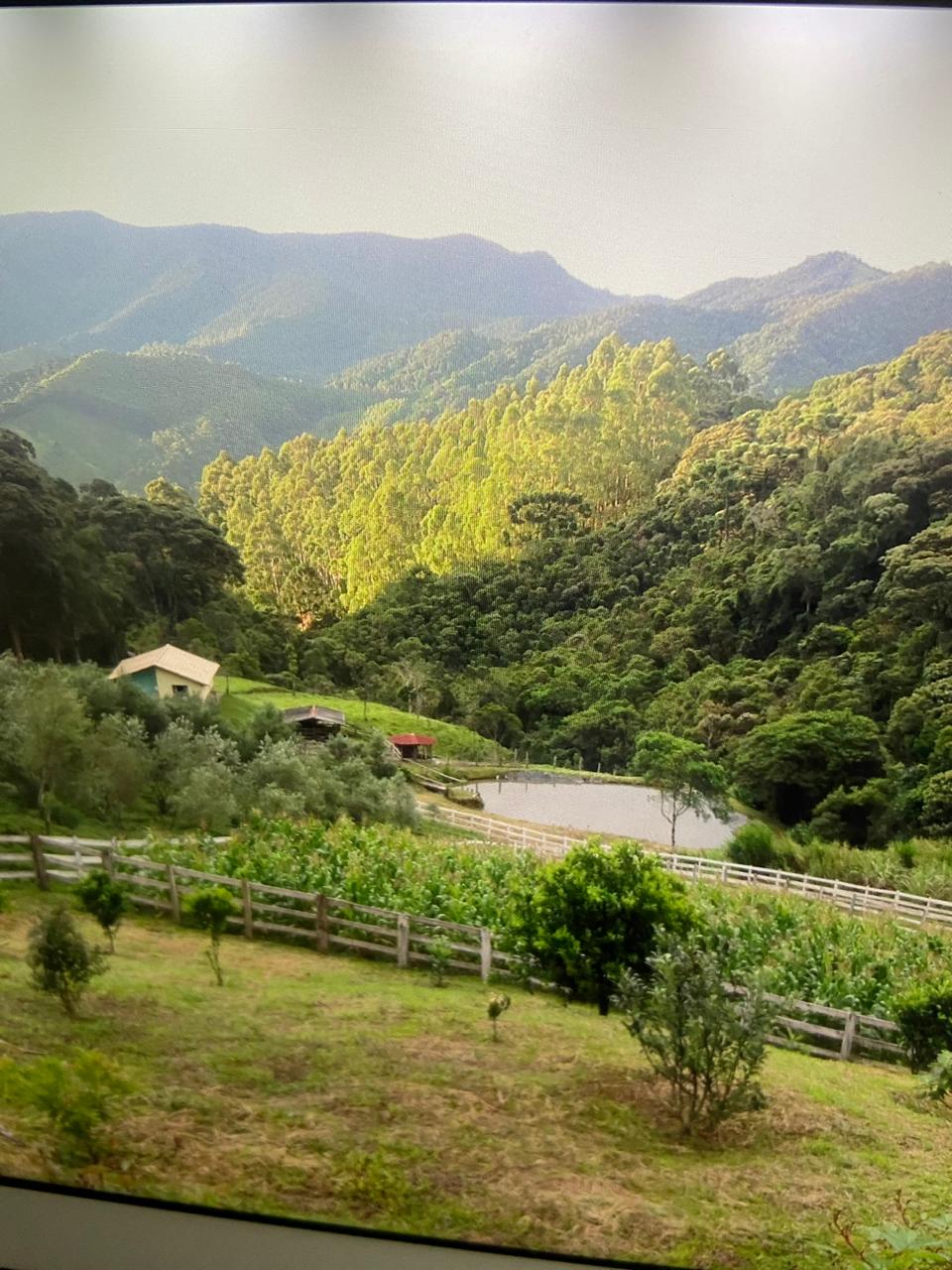 inbound1768341187958531466