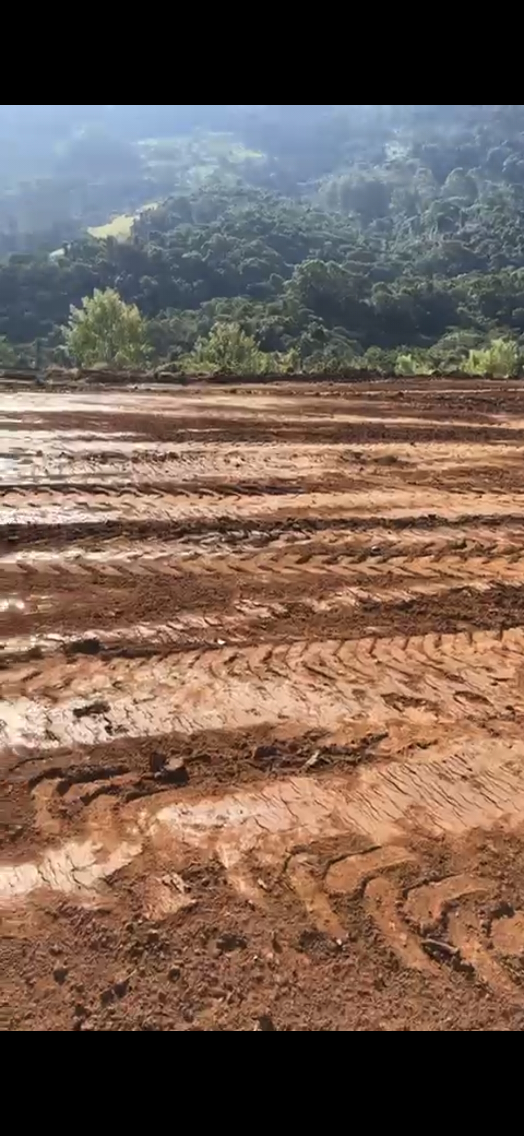 inbound1791583477443902190