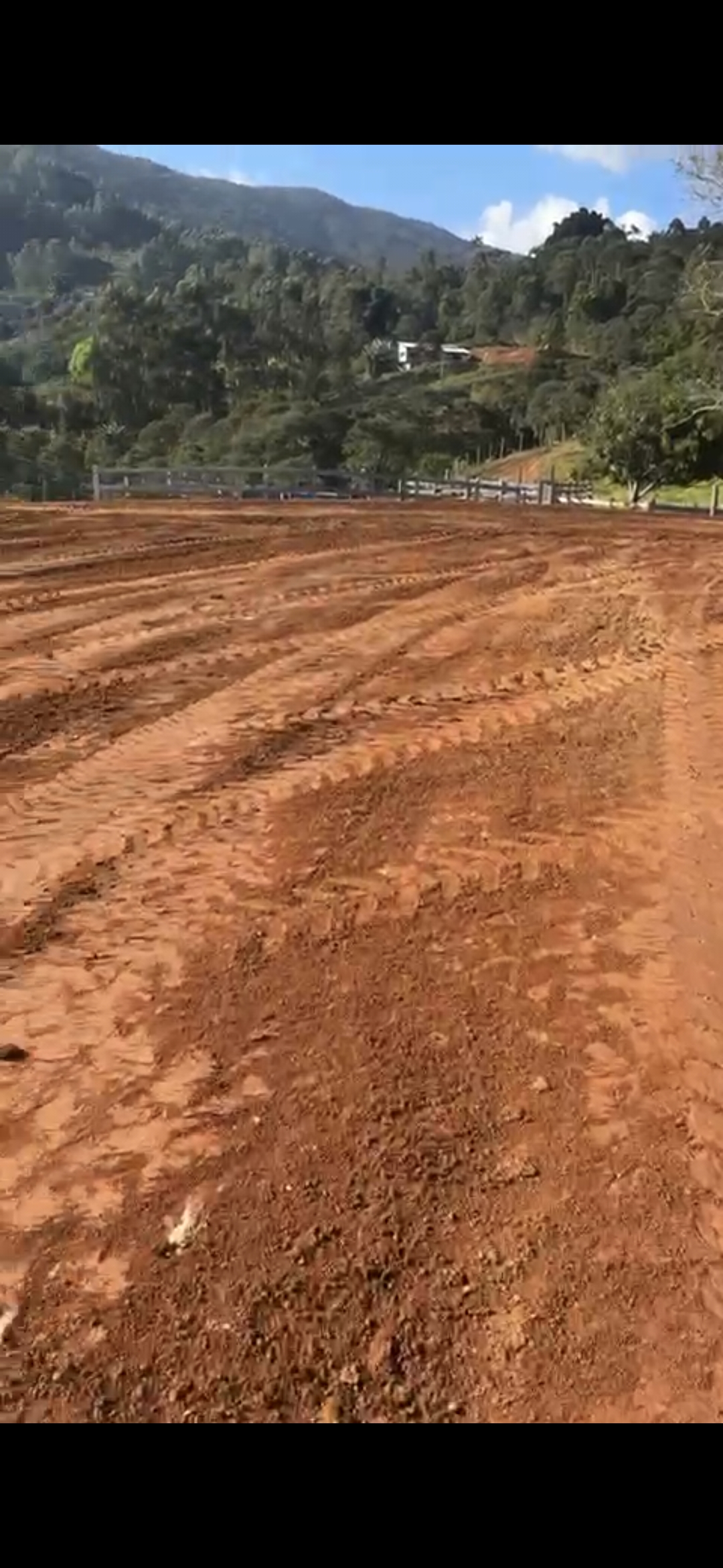 inbound1881893599933854325