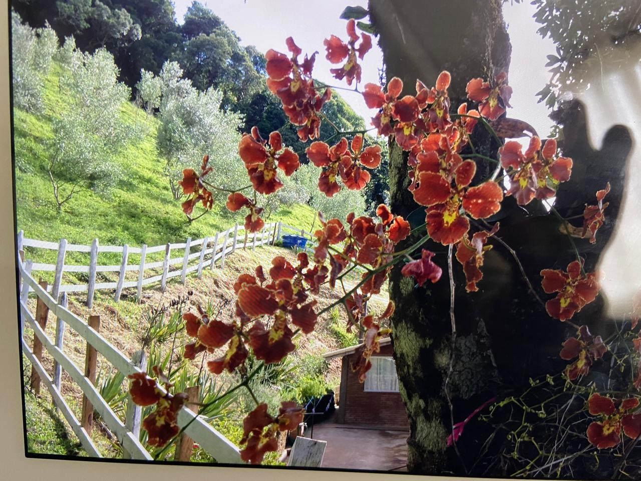 inbound2300065495609882840