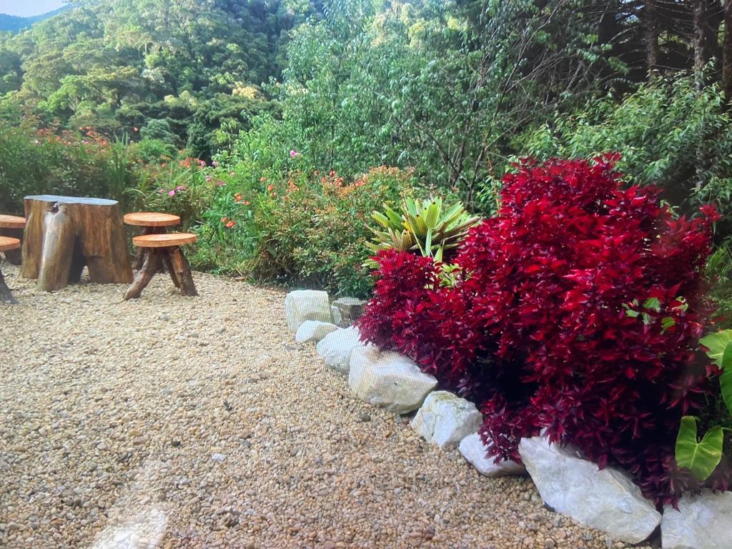 inbound2459500861223009985