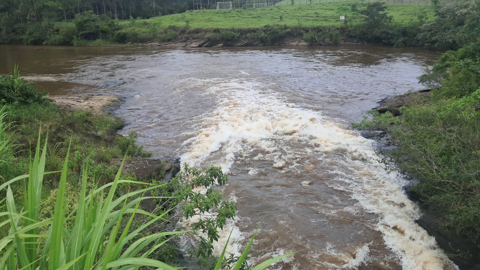 inbound2932057131840569117