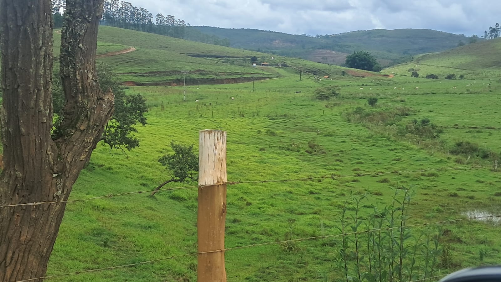 inbound3078518790003608769