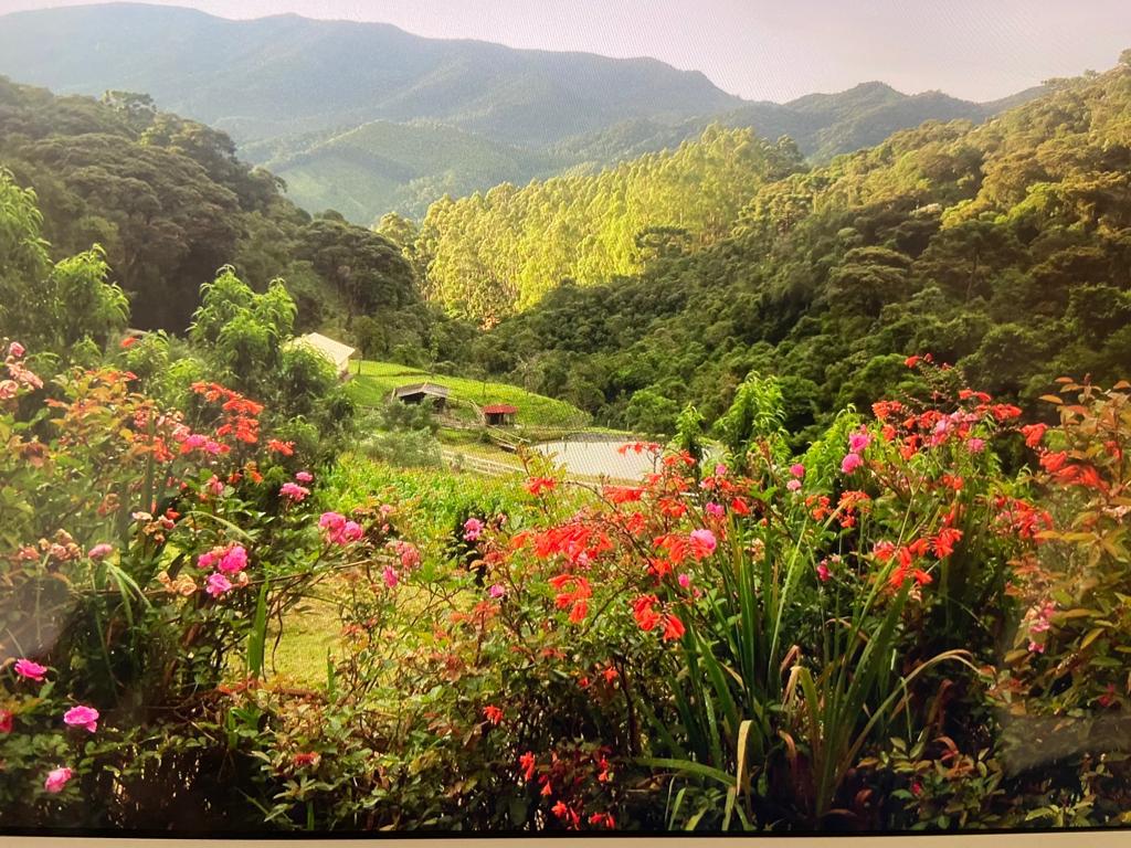 inbound3196367711765616027