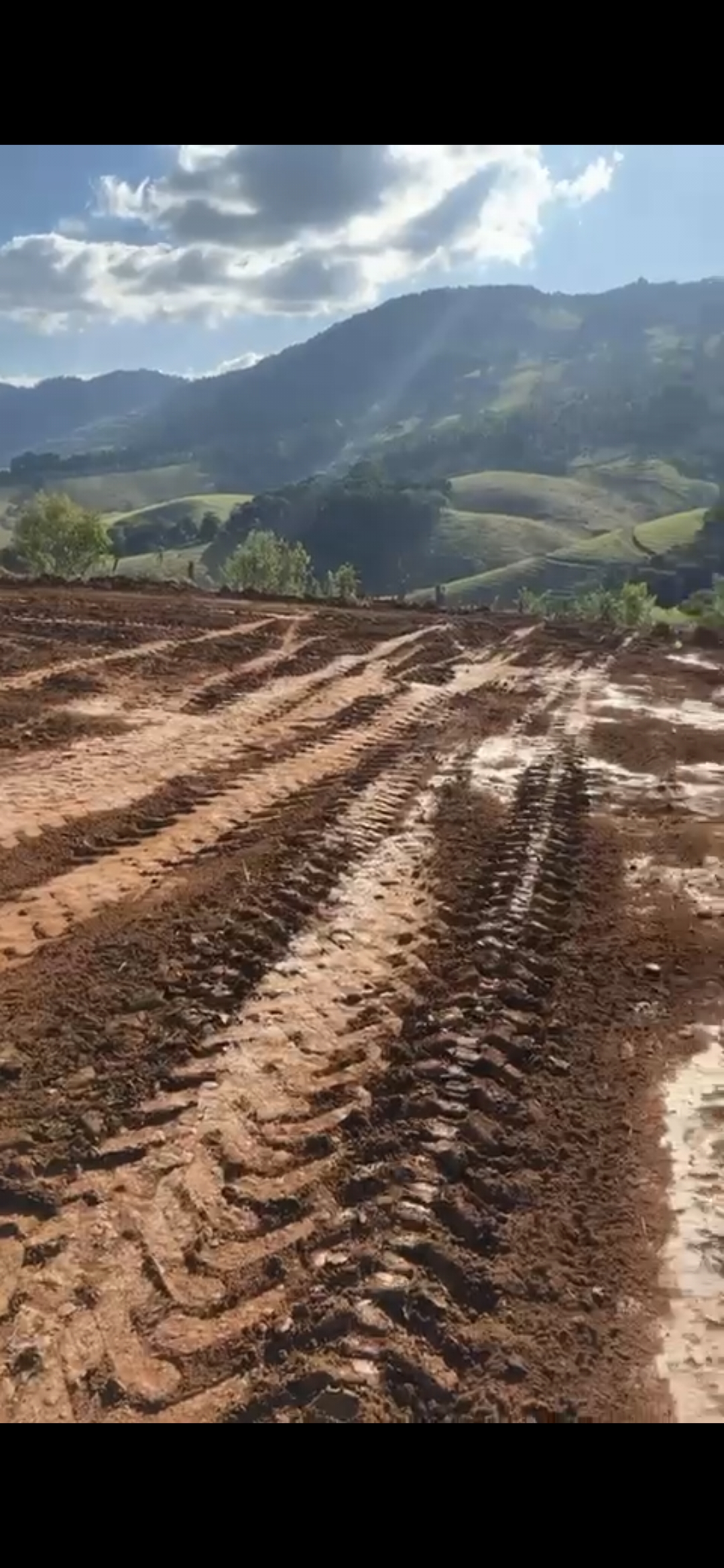 inbound3369853202407543739