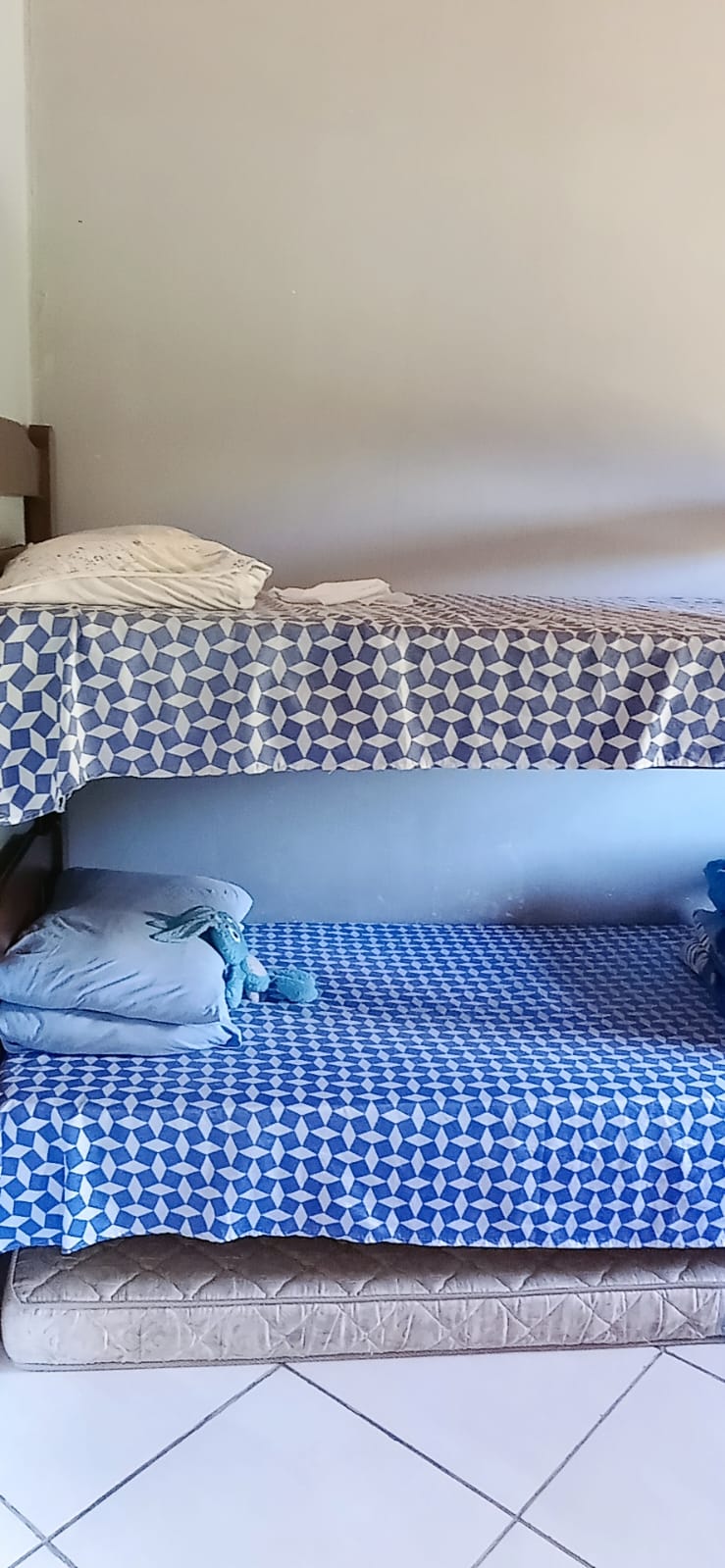 inbound3694163886192278286