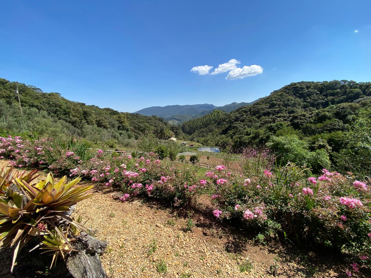 inbound4205417166820691023