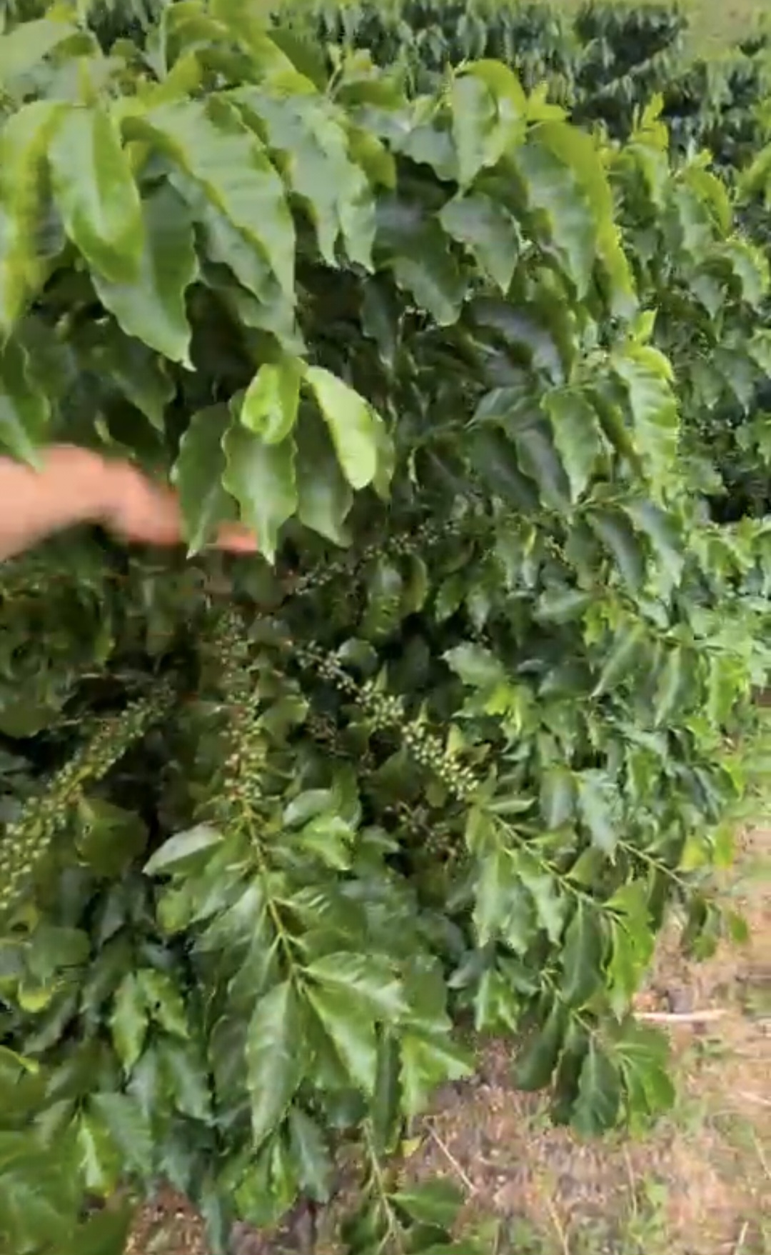 inbound4307808111267570848