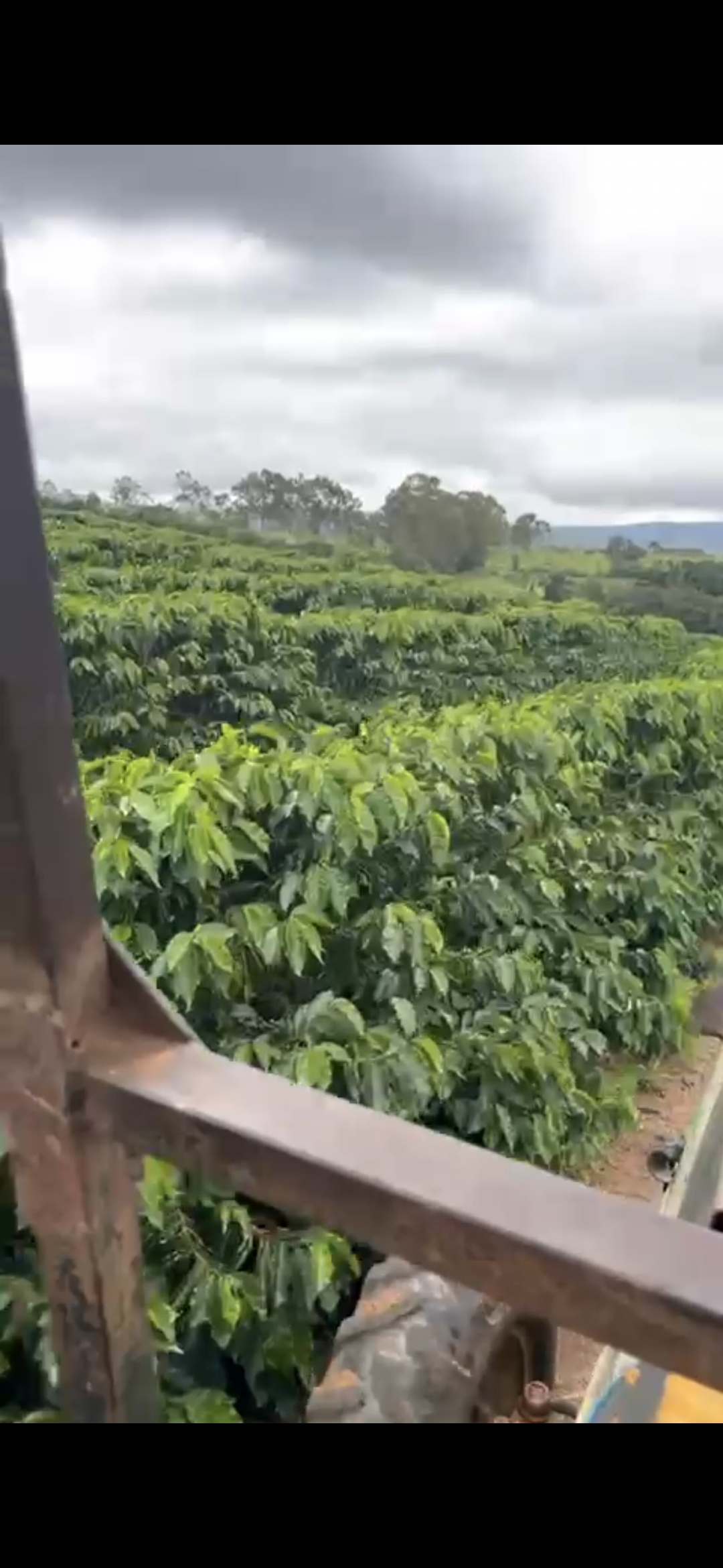 inbound4324611953222861270