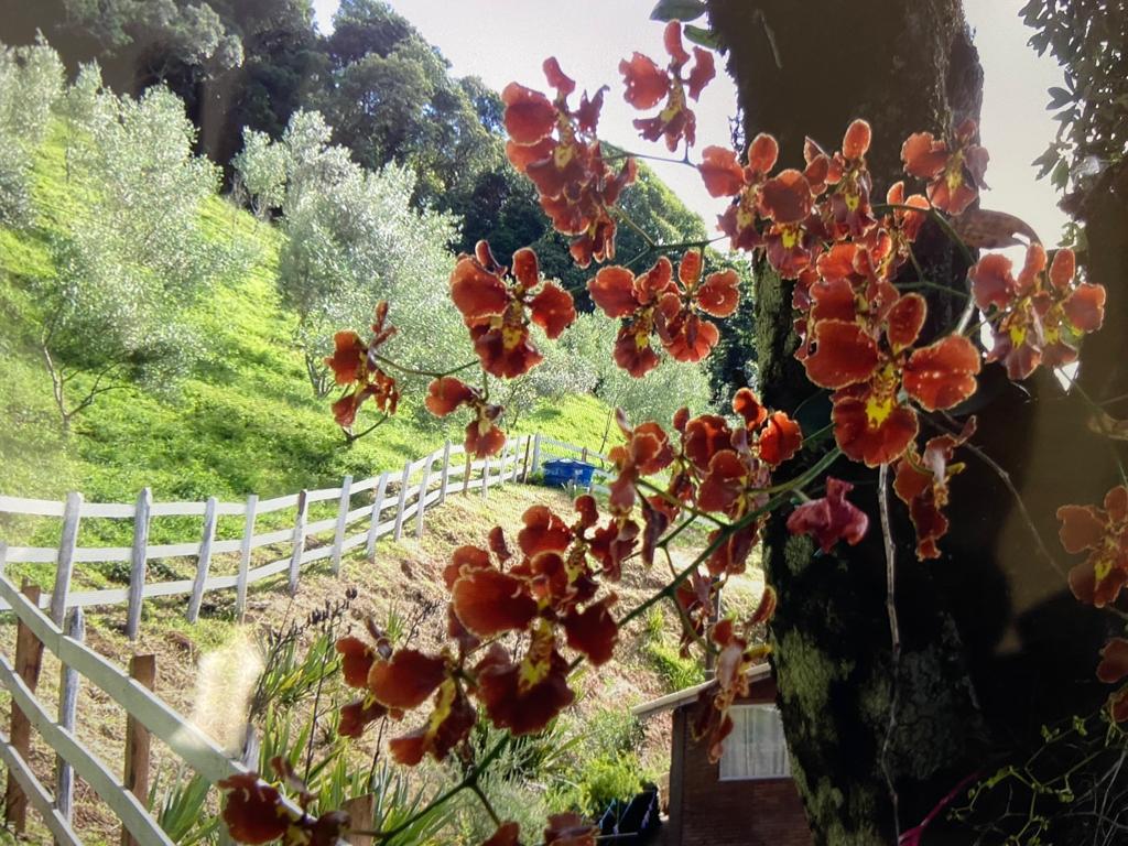 inbound4651800681600735573