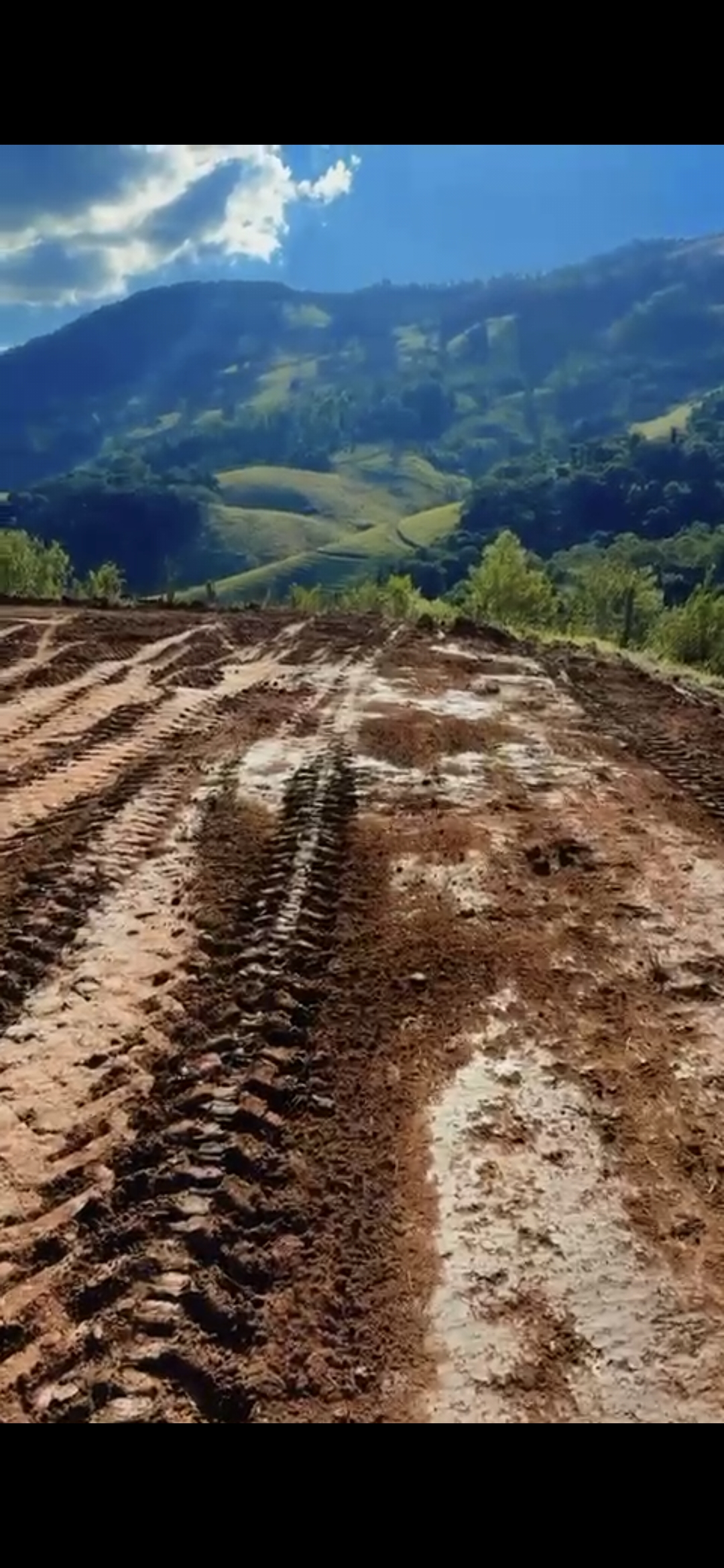 inbound5321931886979442983