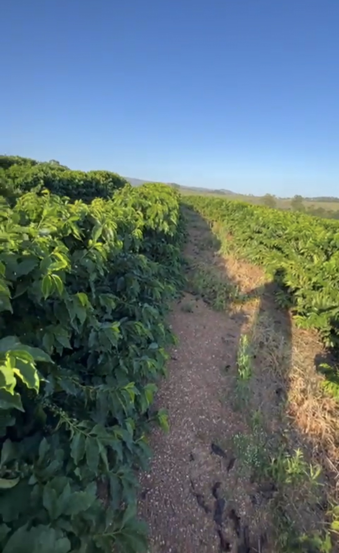 inbound5458986947339844759