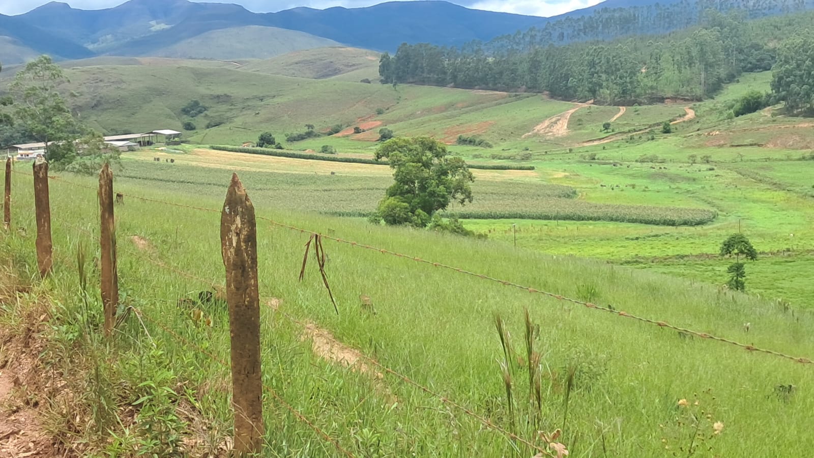 inbound5830499511403643622