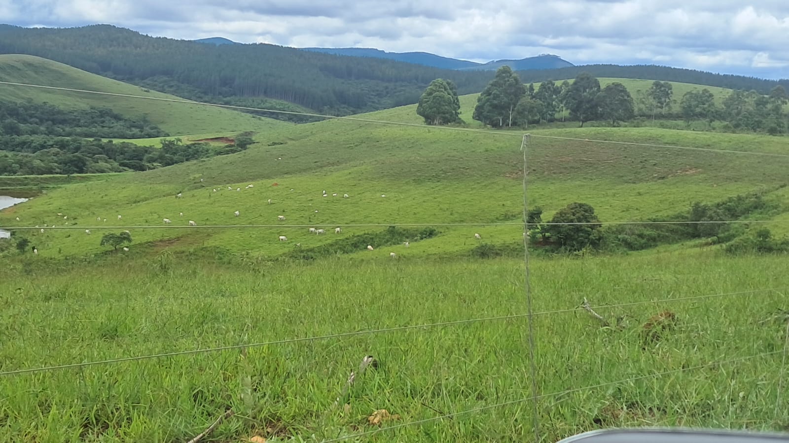 inbound5908439650000063757