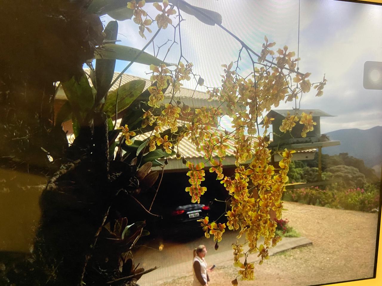 inbound6079365558223541691