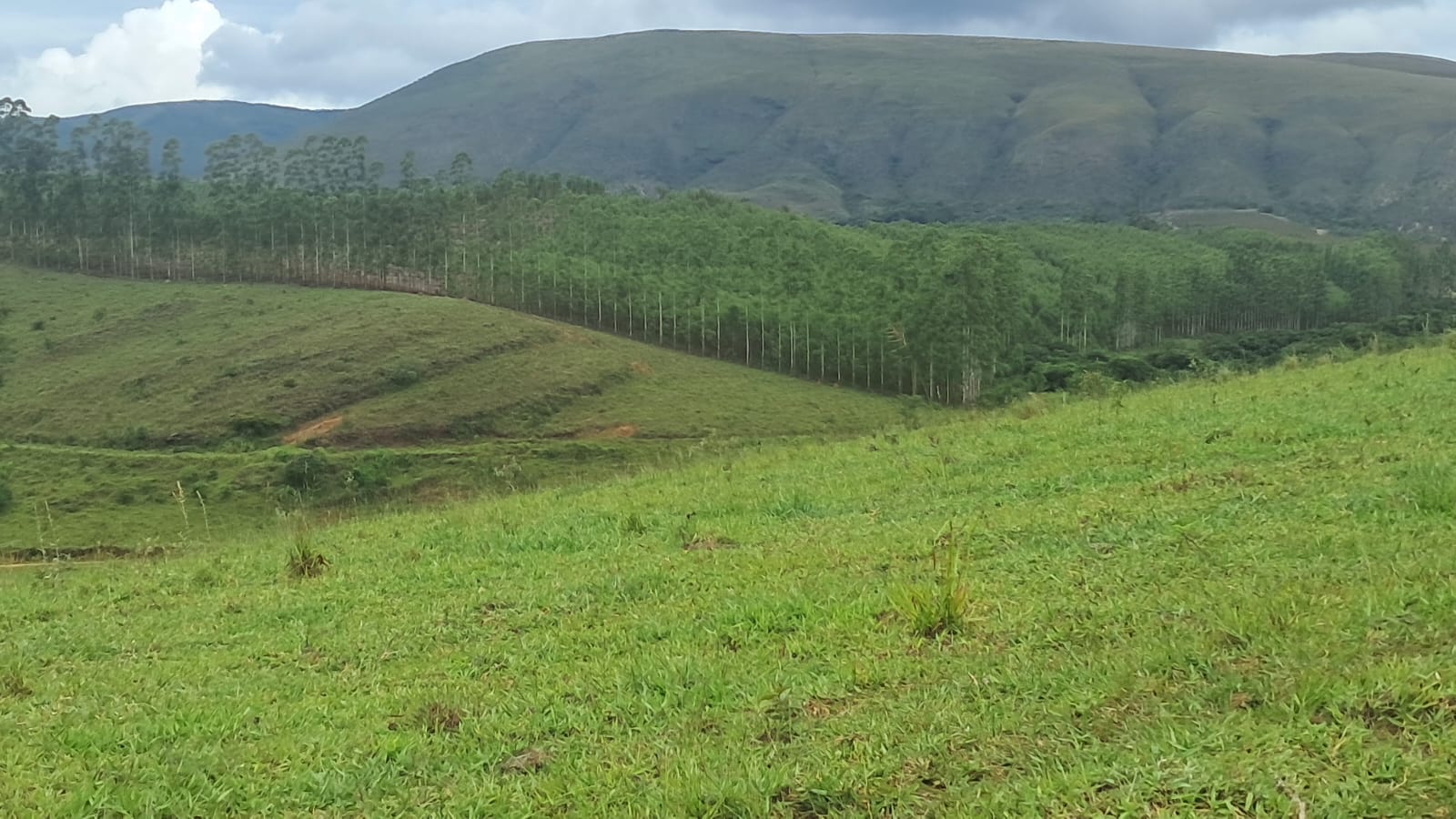 inbound6123951611184991924