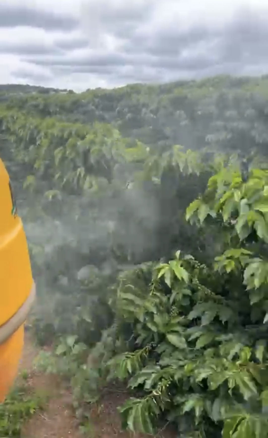 inbound6161964895413136075