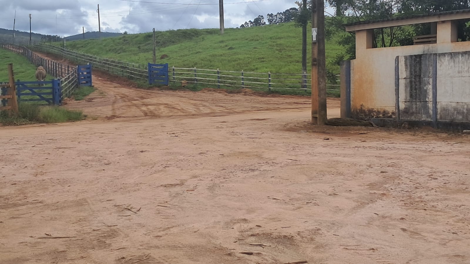 inbound6543779978457494758