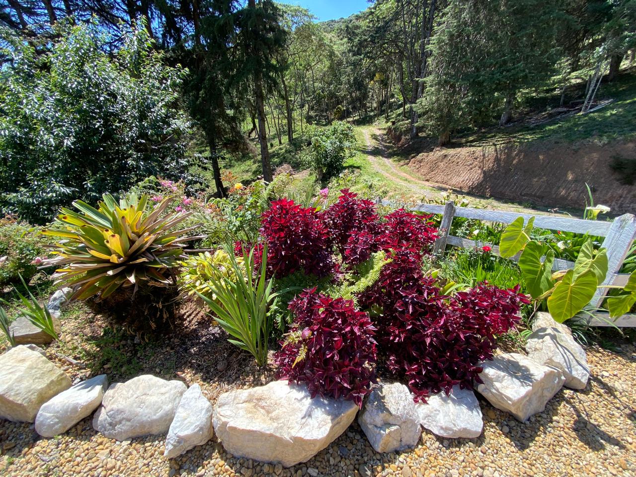 inbound6837719601081062749