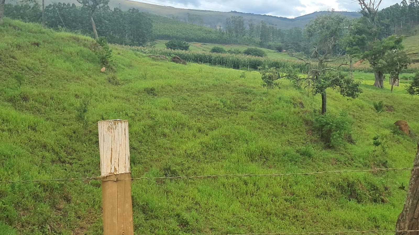 inbound6997918350317856527