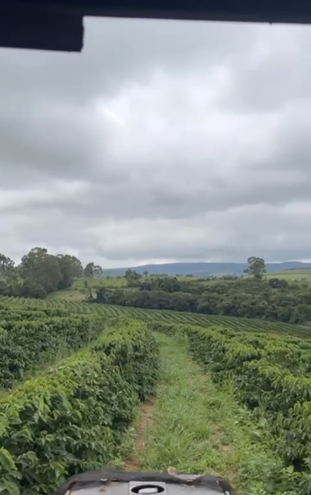 inbound7166687057050686430