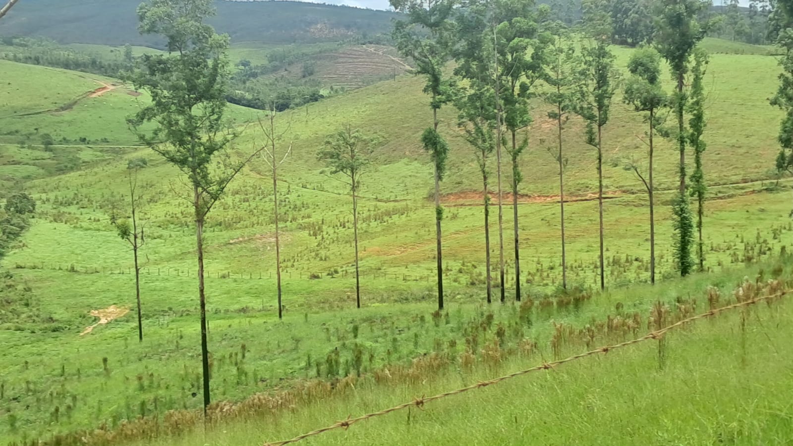 inbound7435484302602485676