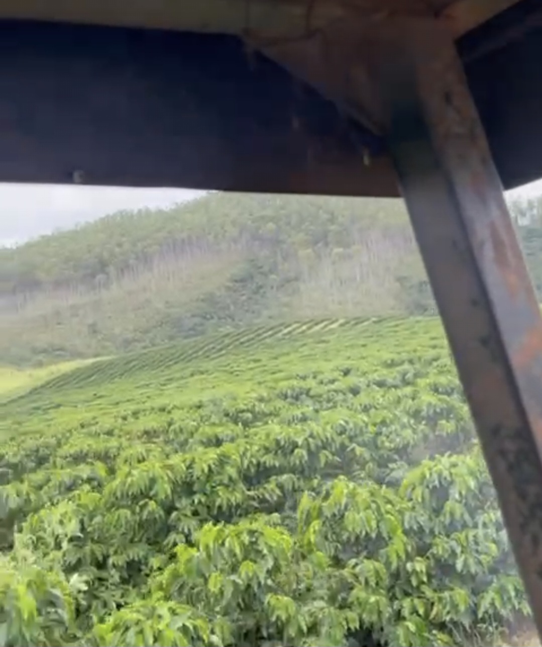 inbound8248894289521074240