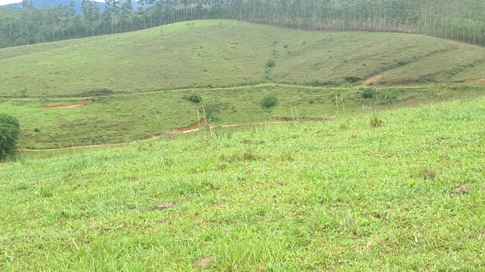 inbound8289216116411966783