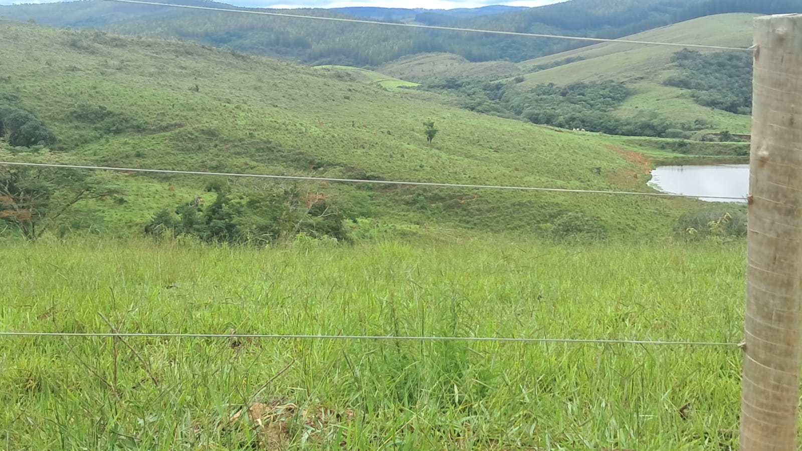 inbound8348917411123142608