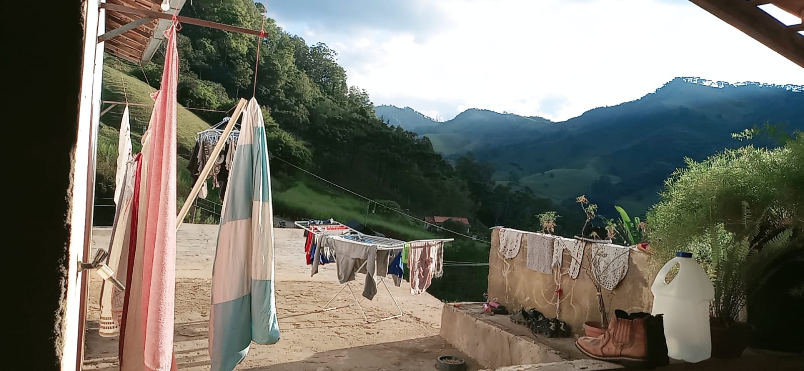 inbound8714293930054324032