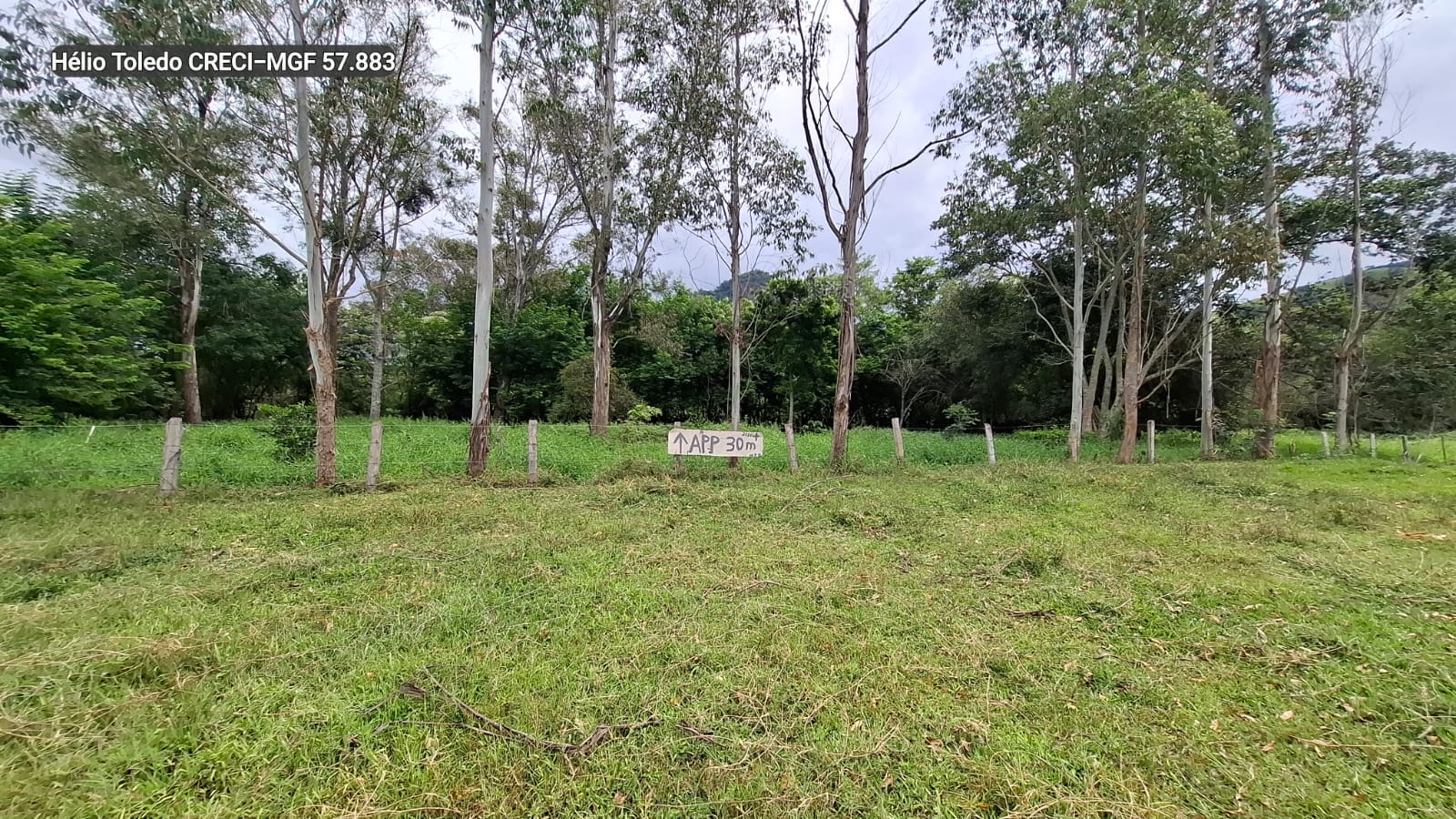 inbound1165824035086119310