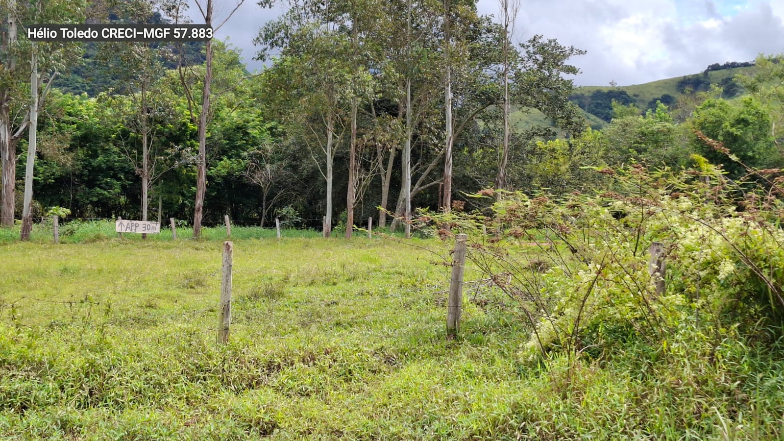 inbound200632648599517446